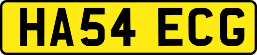 HA54ECG
