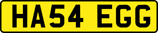 HA54EGG