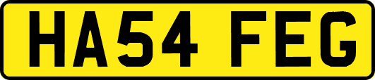 HA54FEG