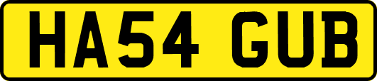 HA54GUB