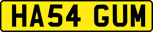 HA54GUM