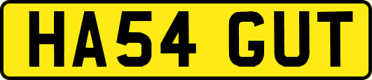 HA54GUT