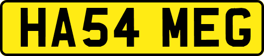 HA54MEG