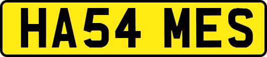 HA54MES