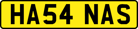 HA54NAS