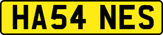HA54NES