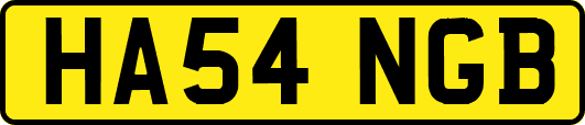 HA54NGB