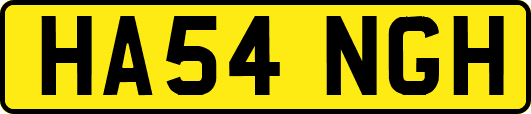 HA54NGH