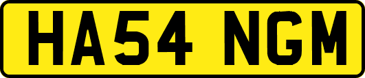 HA54NGM