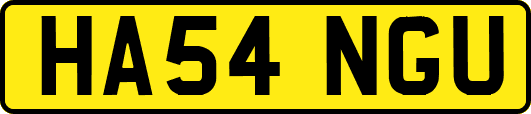 HA54NGU
