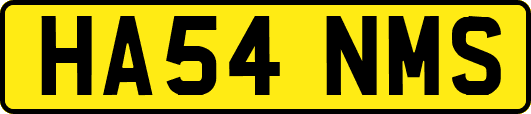 HA54NMS