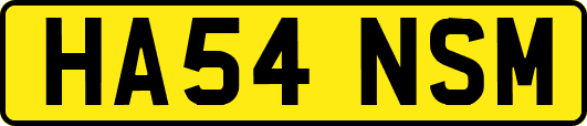 HA54NSM
