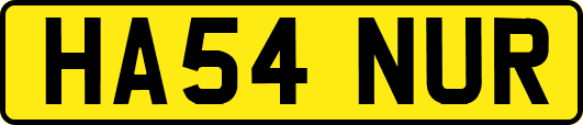 HA54NUR