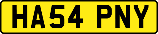 HA54PNY