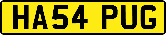 HA54PUG