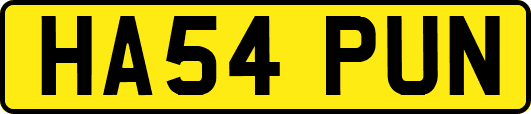 HA54PUN