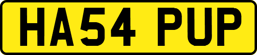 HA54PUP