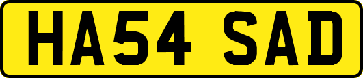 HA54SAD
