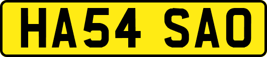 HA54SAO