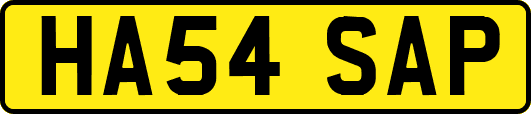 HA54SAP
