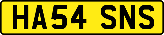 HA54SNS