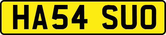 HA54SUO