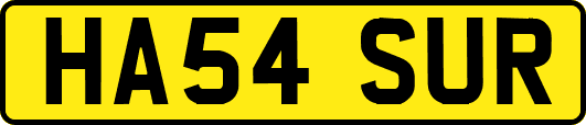 HA54SUR