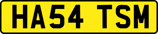 HA54TSM