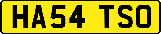 HA54TSO
