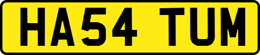 HA54TUM