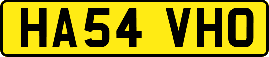 HA54VHO