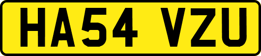 HA54VZU