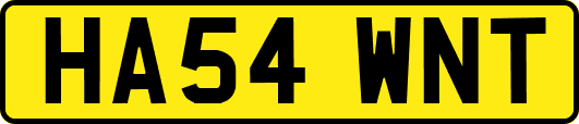 HA54WNT