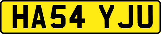 HA54YJU