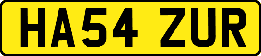 HA54ZUR