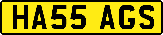 HA55AGS