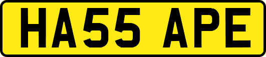 HA55APE
