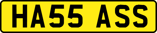 HA55ASS