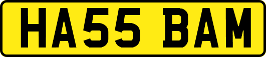 HA55BAM