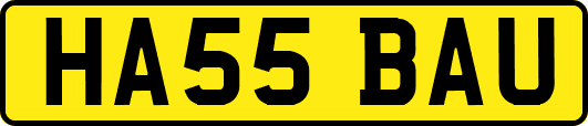 HA55BAU