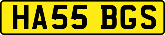 HA55BGS