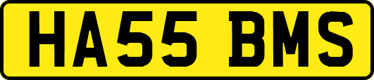 HA55BMS