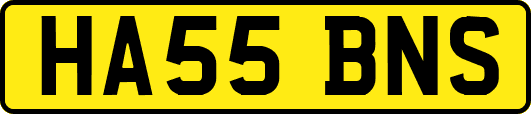 HA55BNS
