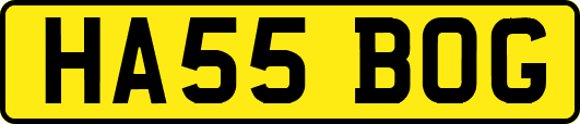 HA55BOG