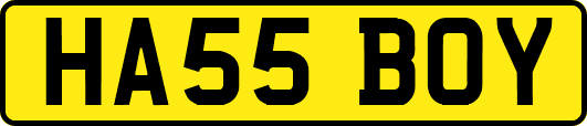HA55BOY