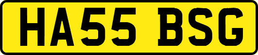 HA55BSG