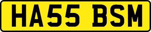 HA55BSM