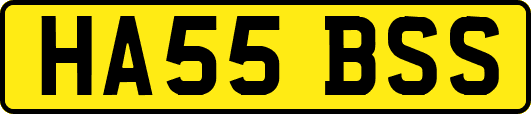 HA55BSS
