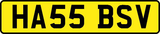 HA55BSV