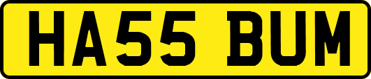 HA55BUM